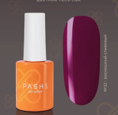 Цветной гель-лак PASHE Atelier №22 - "роскошный сливовый" (9 мл) Цветной гель-лак PASHE Atelier №22 - "роскошный сливовый" (9 мл)