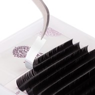 Черные ресницы Enigma light микс 0,07/C+/7-14 mm (16 линий) Черные ресницы Enigma light микс 0,07/C+/7-14 mm (16 линий)